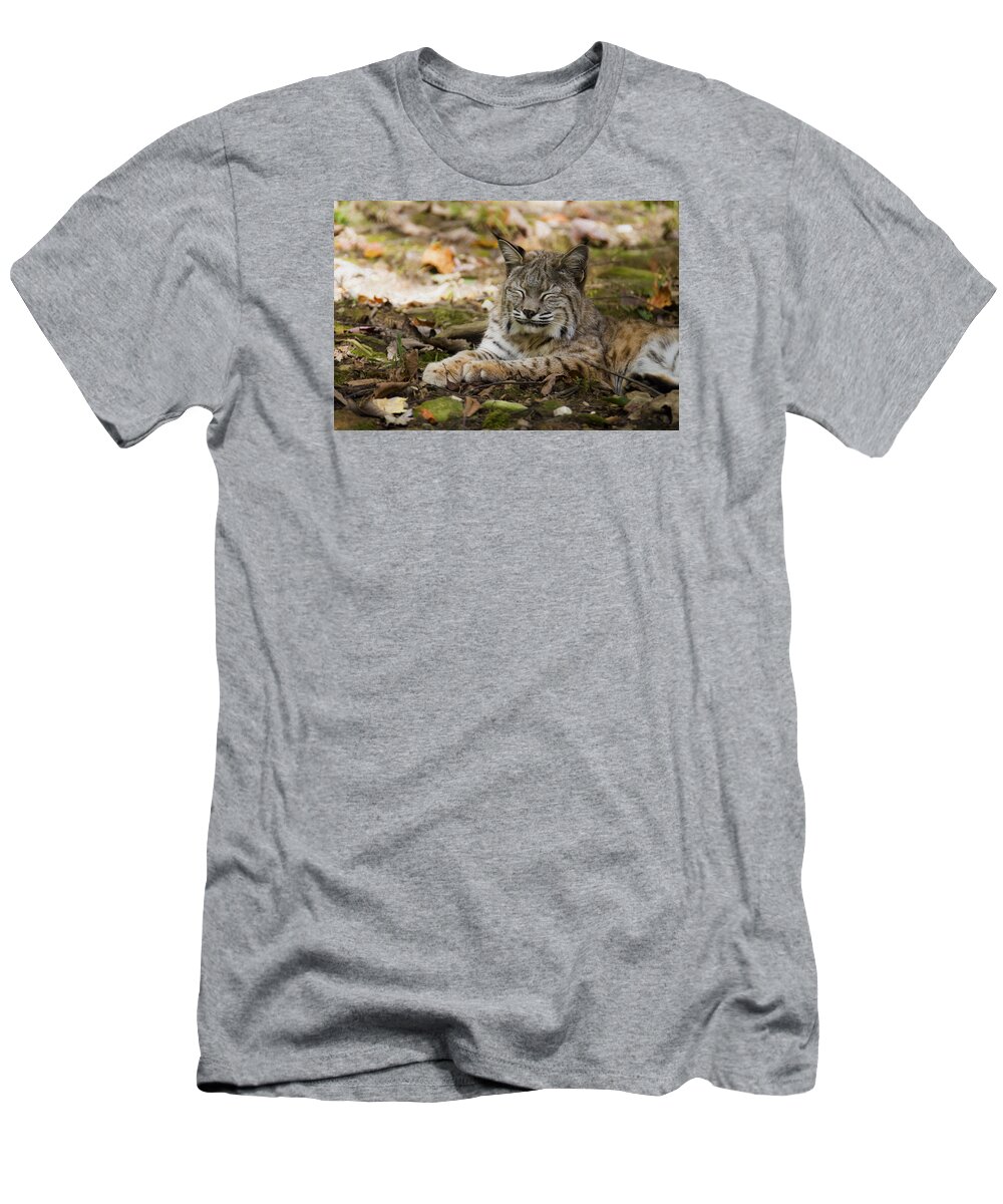 Bobcat T-Shirt featuring the photograph Bobcat by Tracy Winter