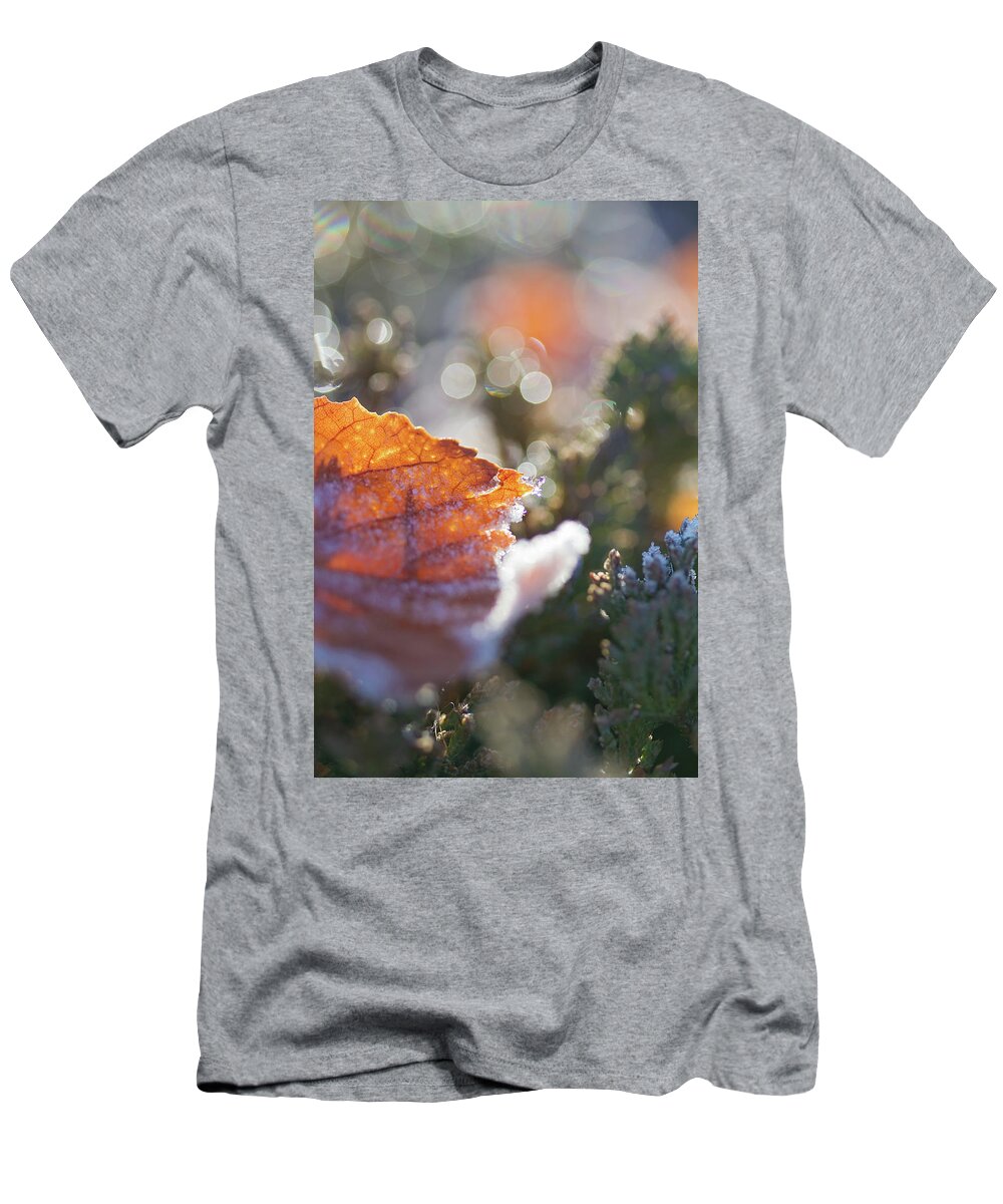 Sky Is The Limit Images T-Shirt featuring the photograph Bokeh Shapes by Becca Buecher