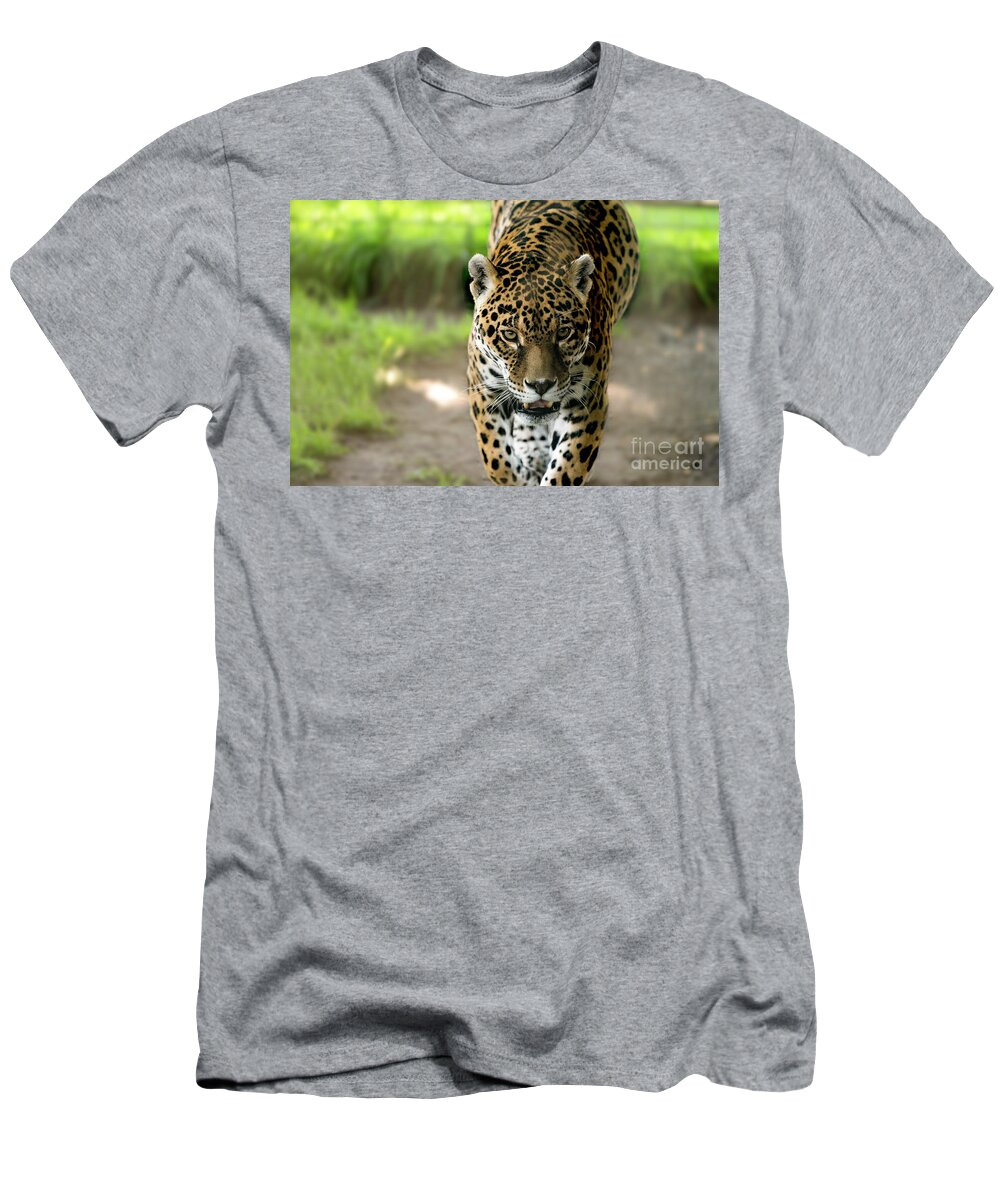 Jaguar T-Shirt featuring the photograph Boo ...You better run kid by Sam Rino