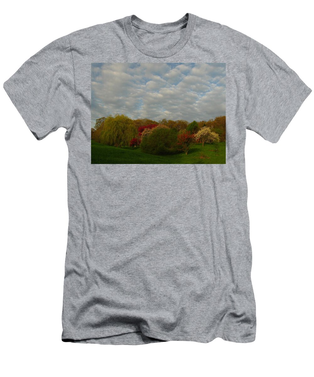 Spring T-Shirt featuring the photograph Boston Arnold Arboretum by Juergen Roth