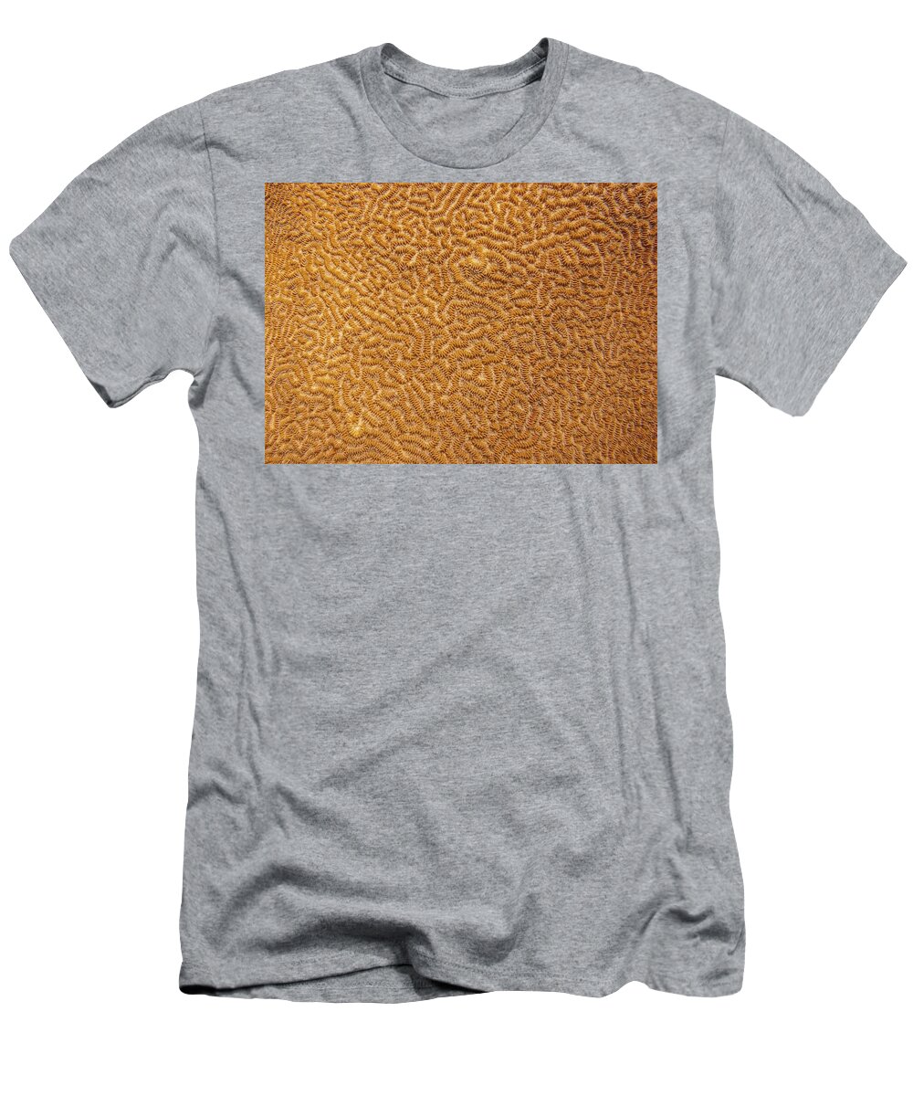 Texture T-Shirt featuring the photograph Brain Coral 47 by Michael Fryd