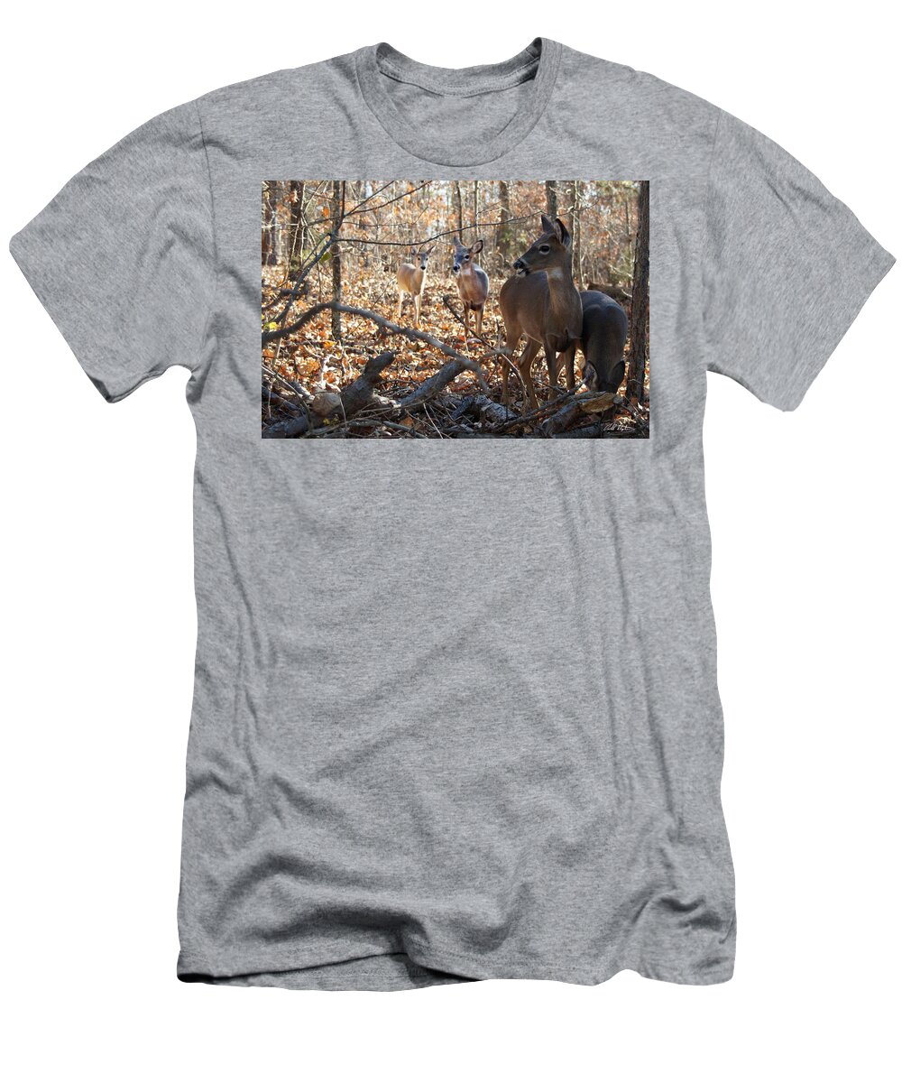 Deer T-Shirt featuring the photograph Breakfast In The Woods by Bill Stephens