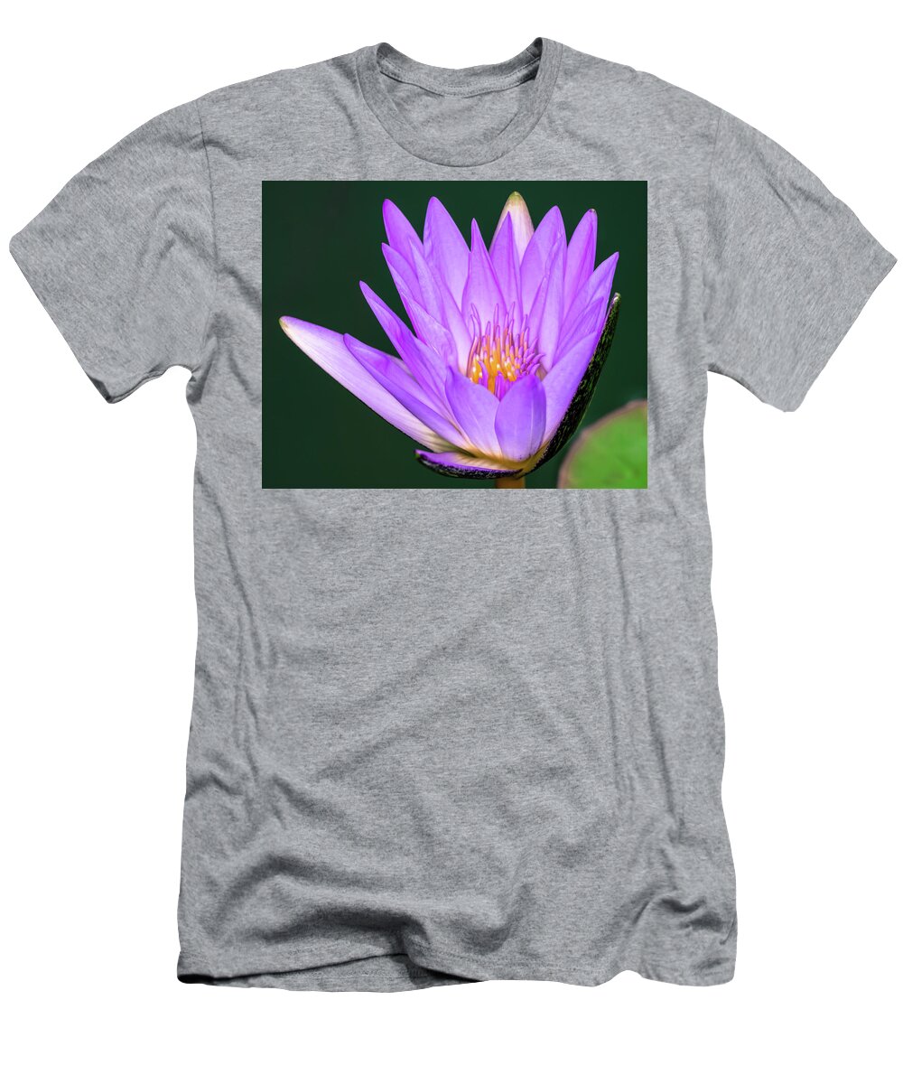 Lily T-Shirt featuring the photograph Bright Purple Water Lily by Artful Imagery