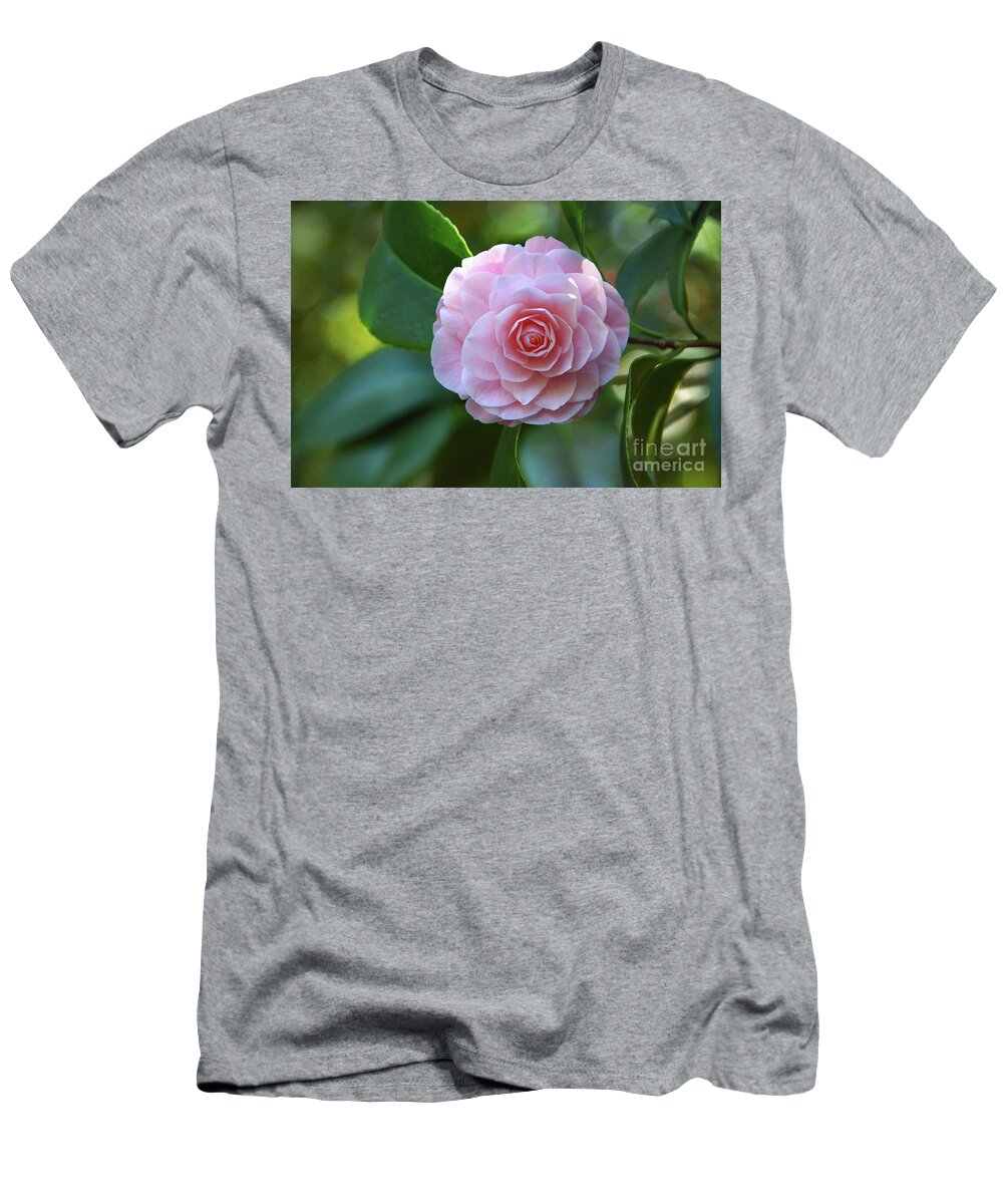 Flower T-Shirt featuring the photograph Bright Spot by Dan Holm