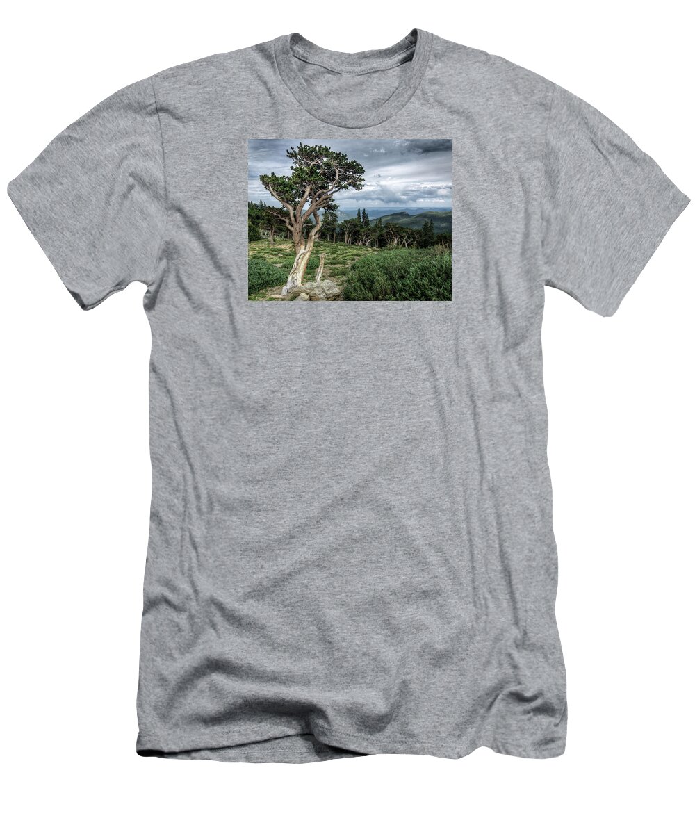 Fine Art Photography T-Shirt featuring the photograph Bristlecone Pine 2 by John Strong