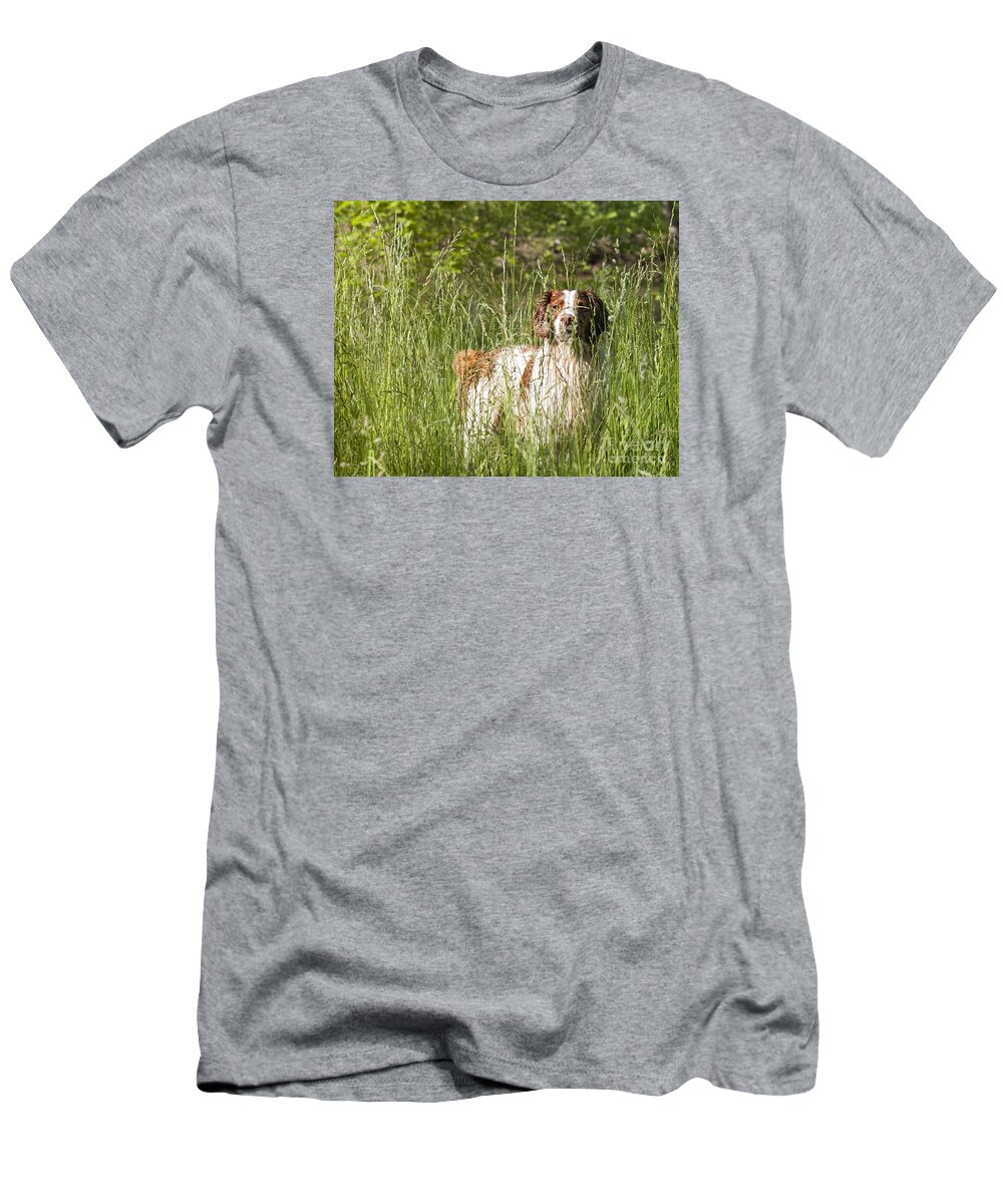 Brittany T-Shirt featuring the photograph Brittany in Tall Grass by Timothy Flanigan