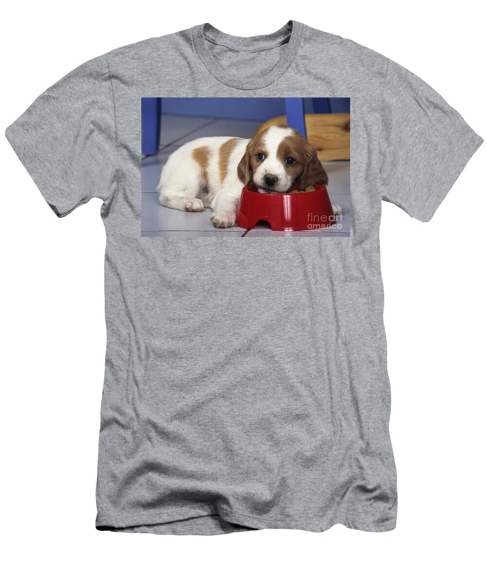 Brittany Spaniel T-Shirt featuring the photograph Brittany Spaniel Puppy by Jean-Louis Klein & Marie-Luce Hubert