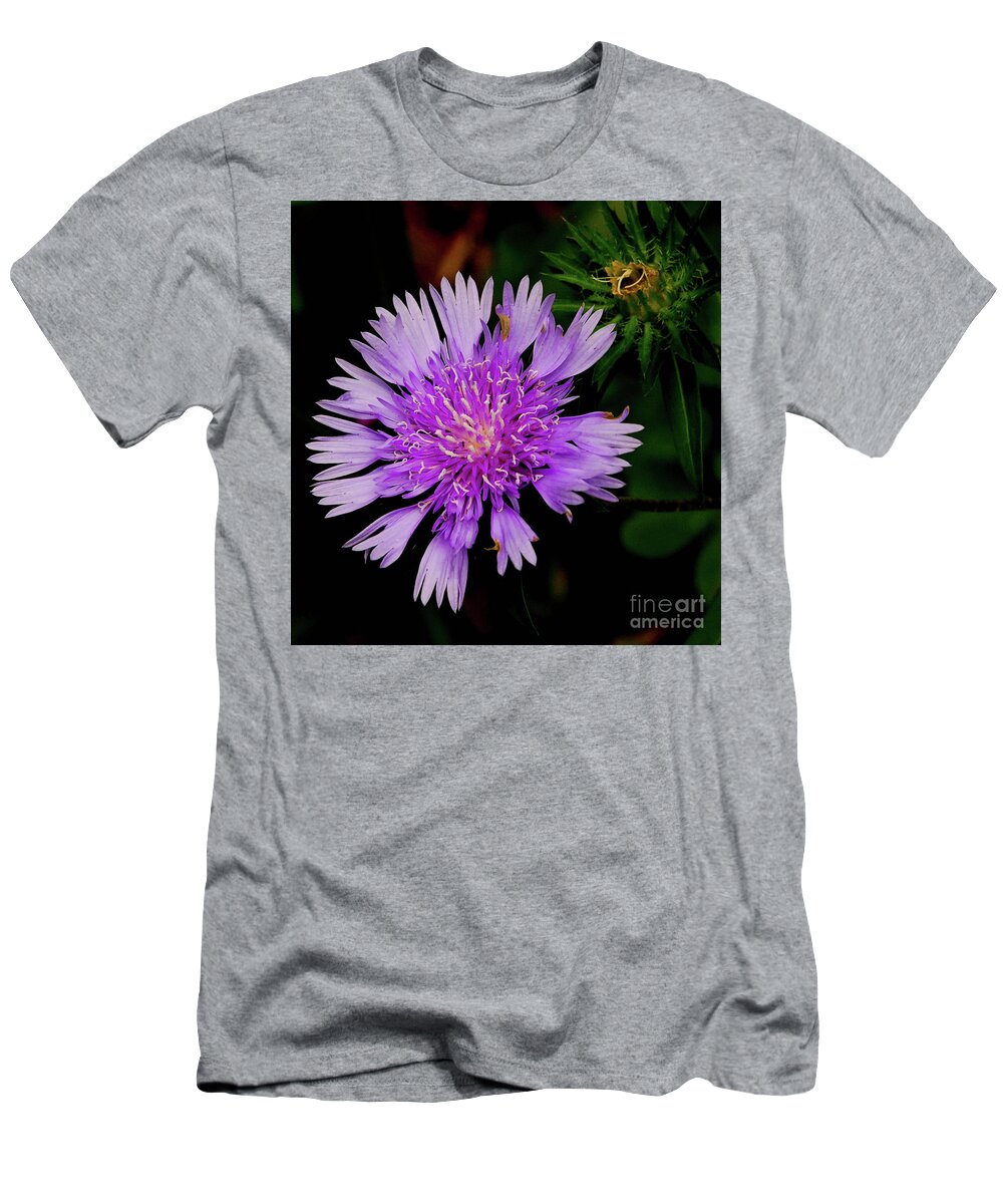 Flower T-Shirt featuring the photograph Broken Lavender by Barry Bohn