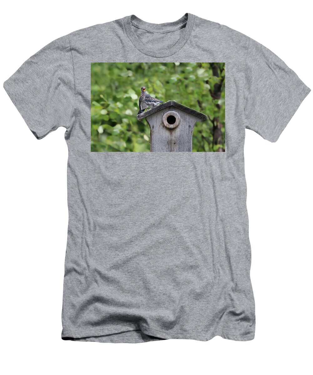 Bluebird T-Shirt featuring the photograph Brother from another Mother by Jackson Pearson