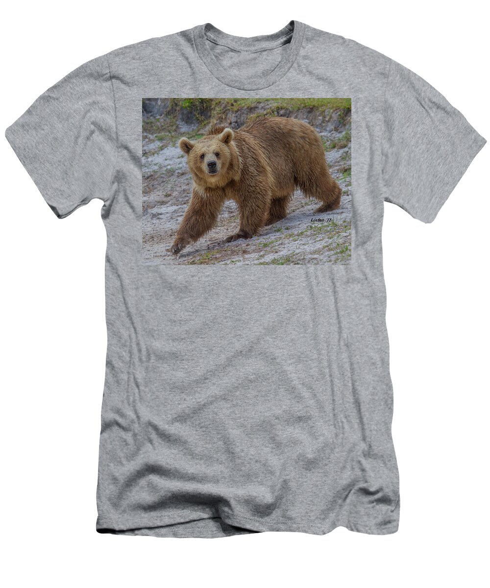 Brown Bear T-Shirt featuring the photograph Brown Bear 3 by Larry Linton