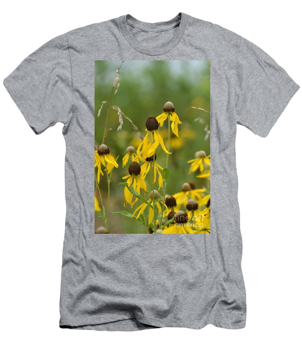 Brown-eyed Susan T-Shirt featuring the photograph Brown-Eyed Susan by Maria Urso