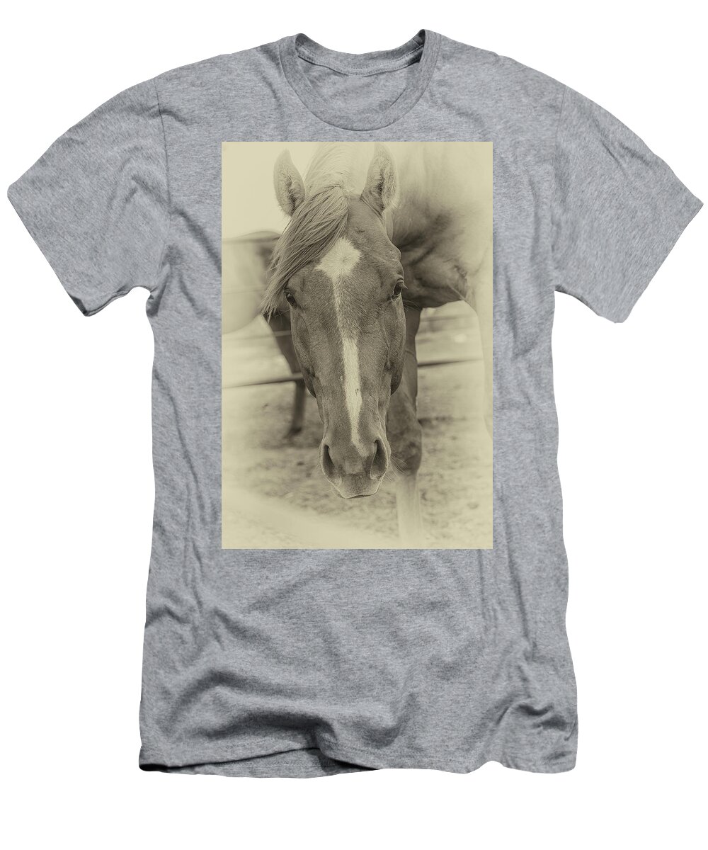 Horse T-Shirt featuring the photograph Brown Horse - Antique by Bert Peake