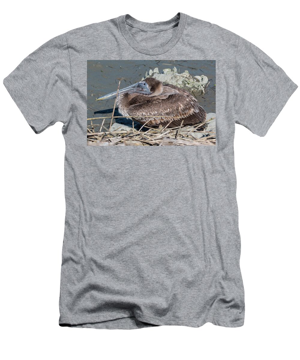 Pelican T-Shirt featuring the photograph Brown Pelican 3 March 2018 by D K Wall