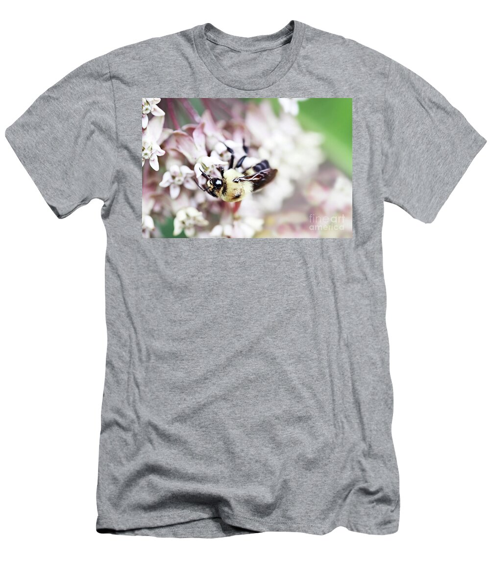 Bumble Bee T-Shirt featuring the photograph Bumble Bee and Milkweed by Stephanie Frey