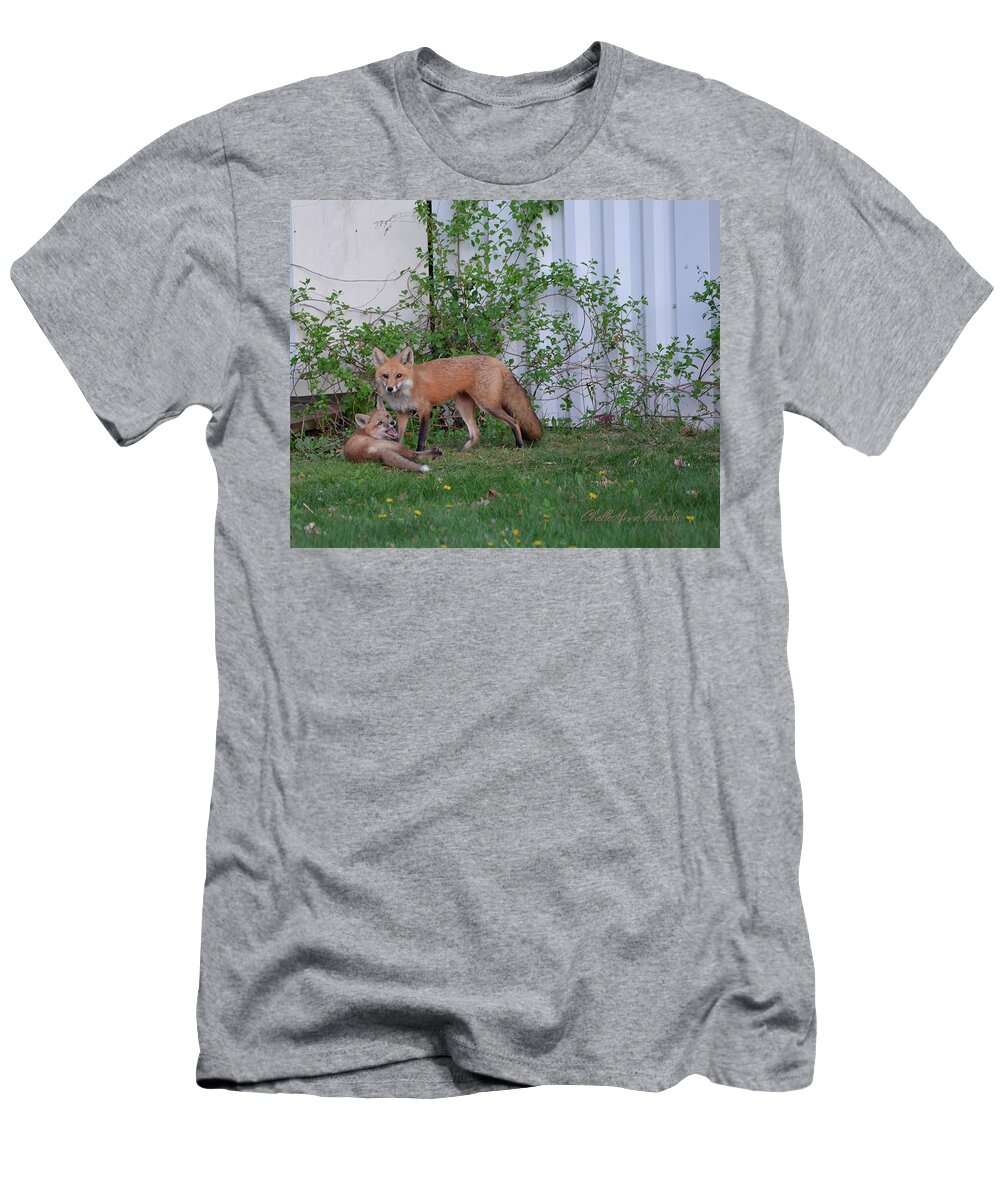 Foxes T-Shirt featuring the photograph But Mom by ChelleAnne Paradis