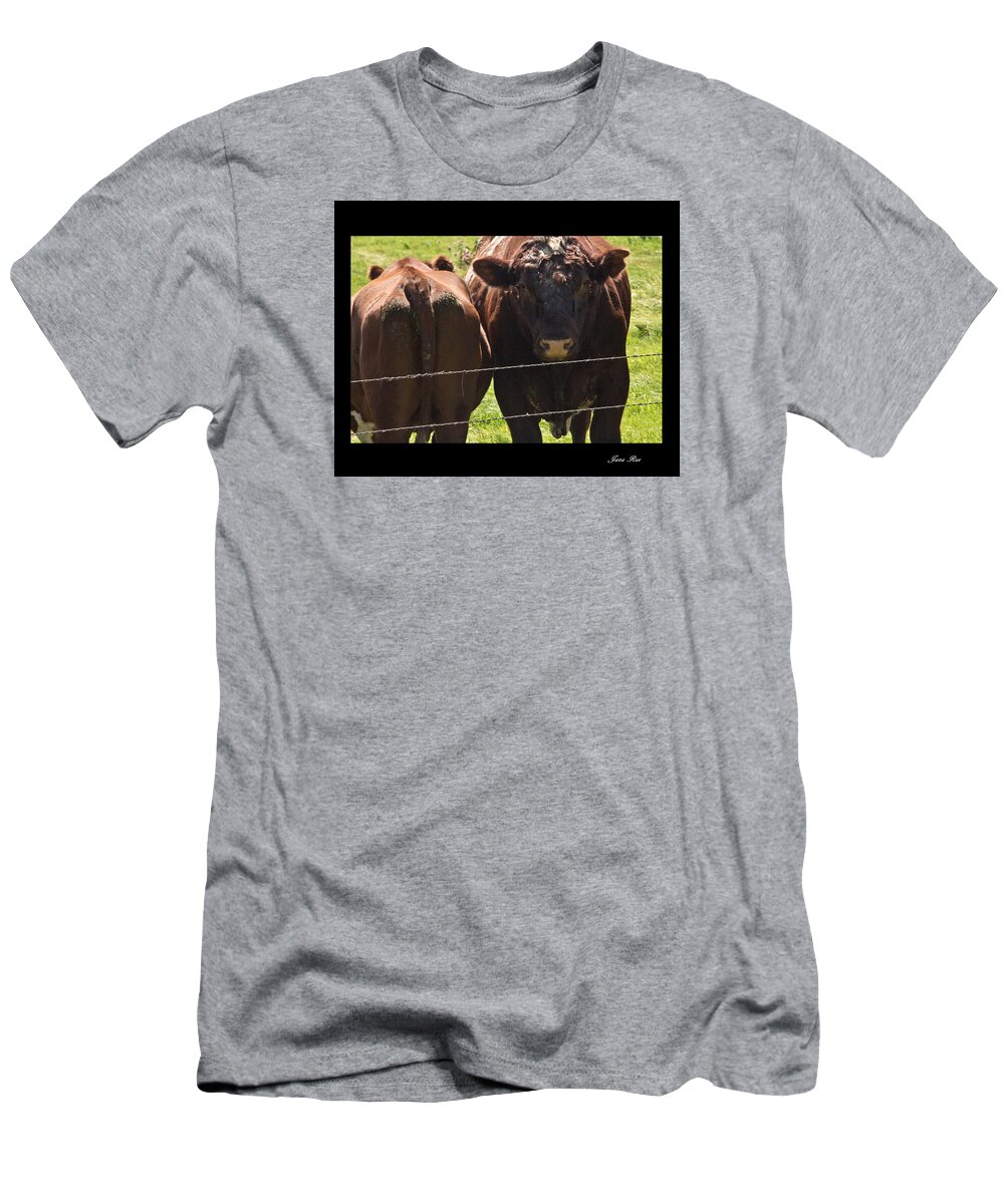 Cows T-Shirt featuring the photograph Butt Head by Jana Rosenkranz