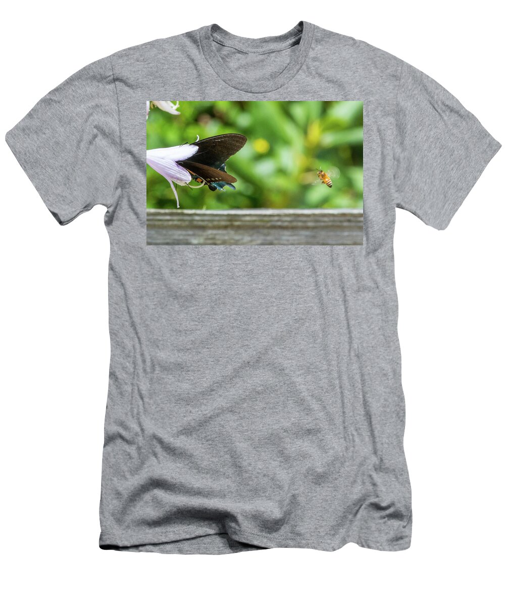 Butterfly T-Shirt featuring the photograph Butterfly and Bee by D K Wall