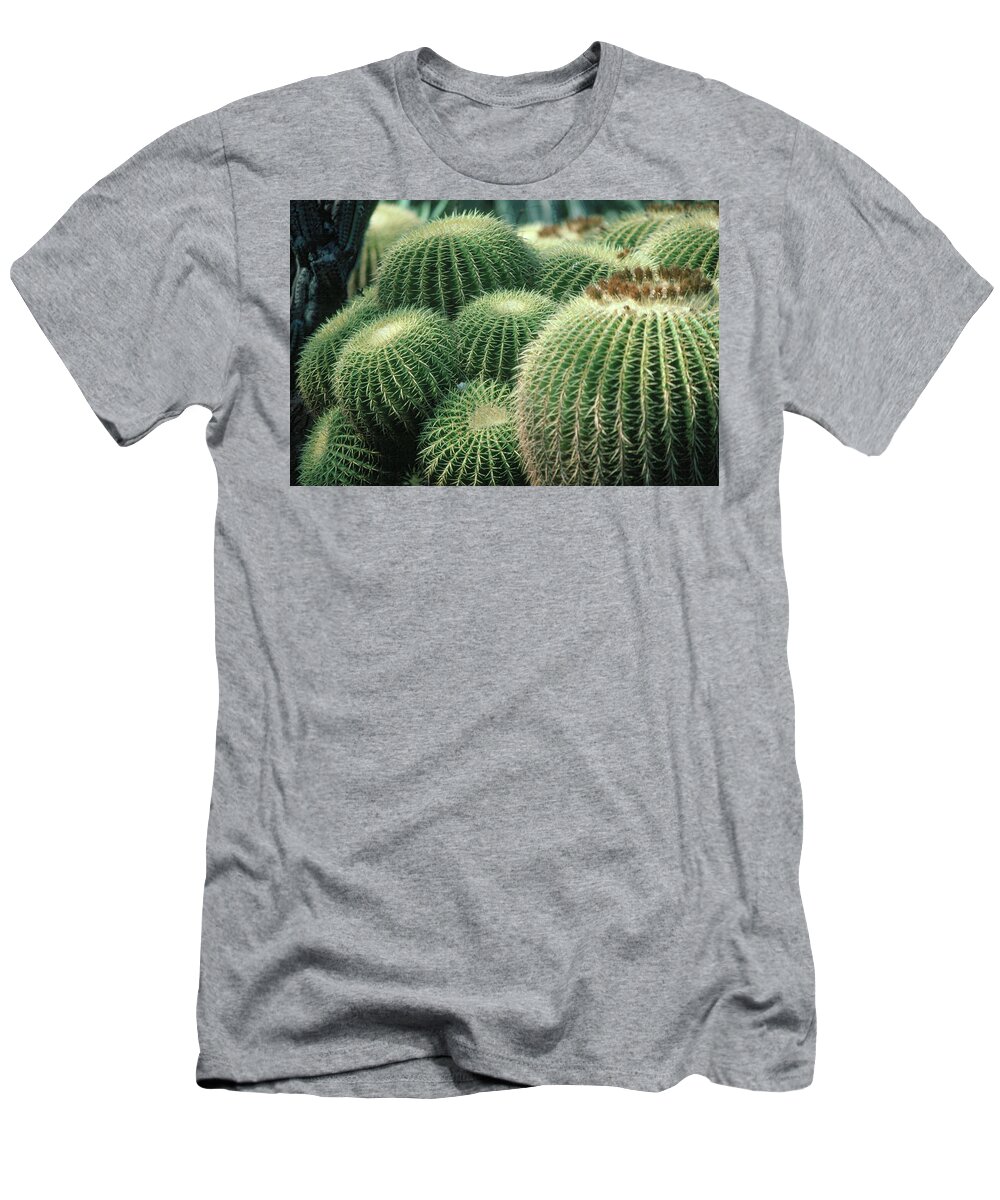 Cactus T-Shirt featuring the photograph Cactus 4 by Andy Shomock