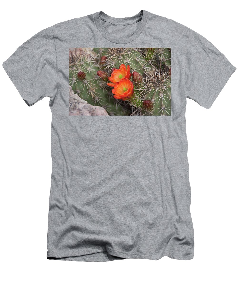Arizona T-Shirt featuring the photograph Cactus Blossoms by Monte Stevens