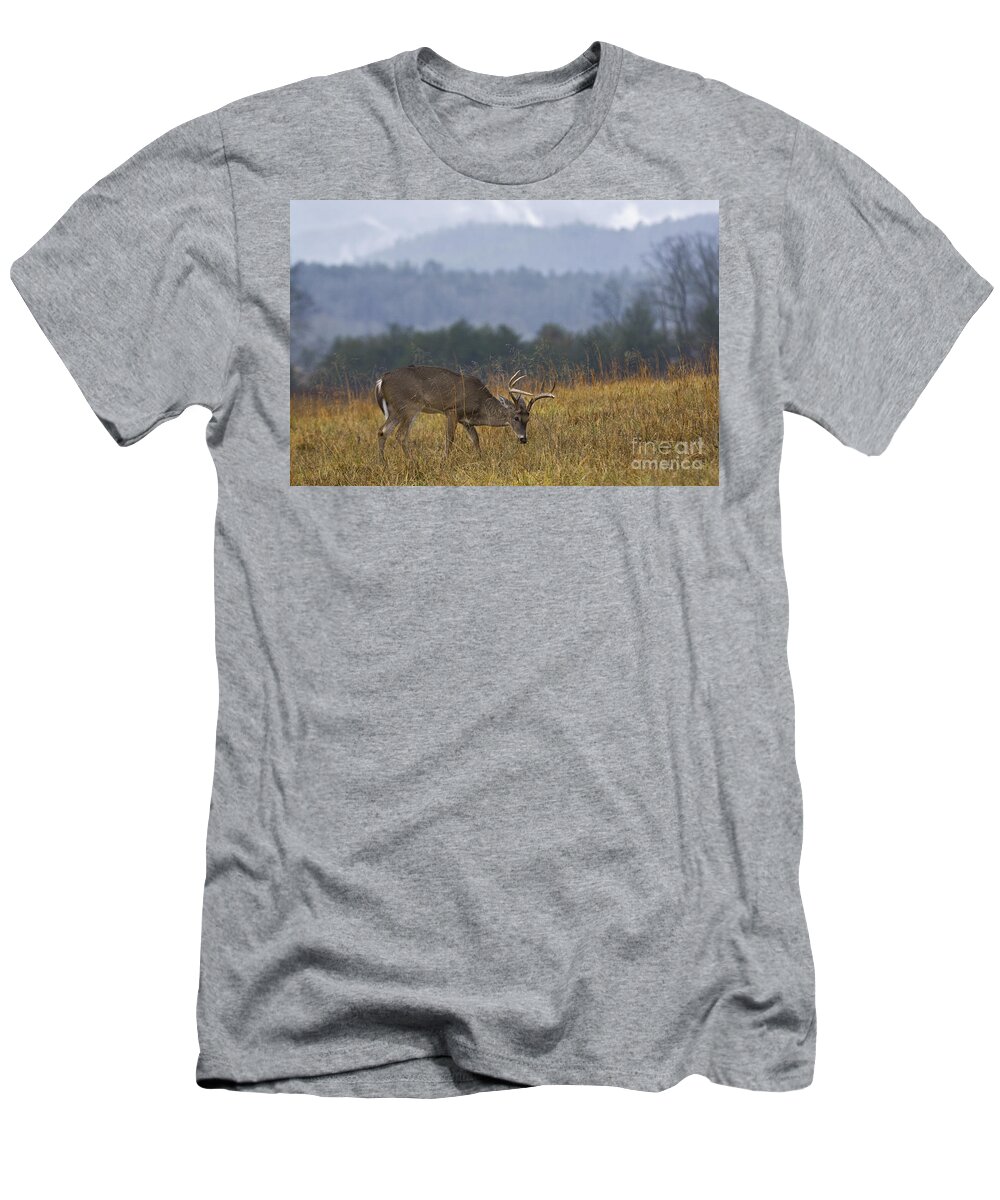 White-tailed T-Shirt featuring the photograph Cades Cove White-tail - D007884 by Daniel Dempster
