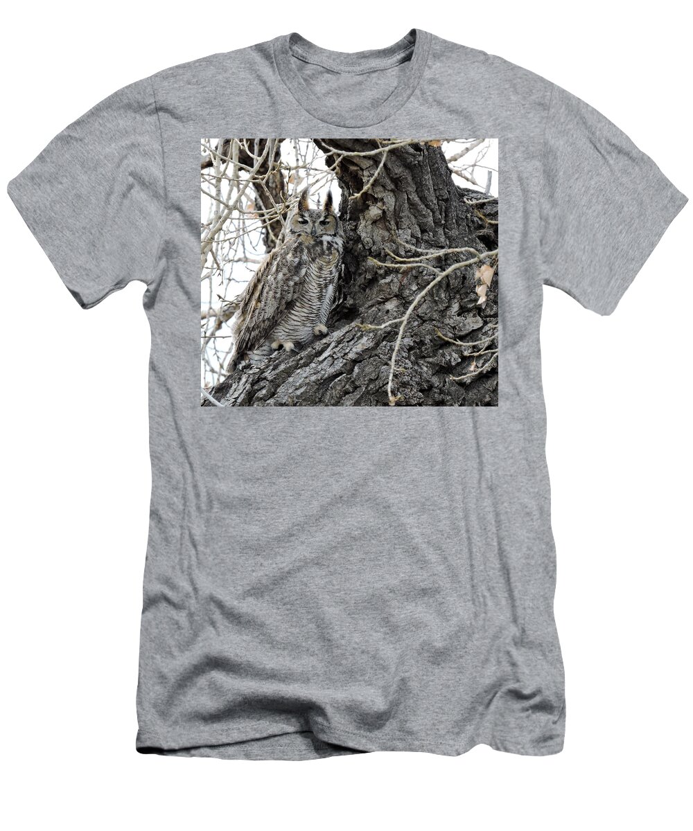 Owl T-Shirt featuring the photograph Camo by Nicole Belvill