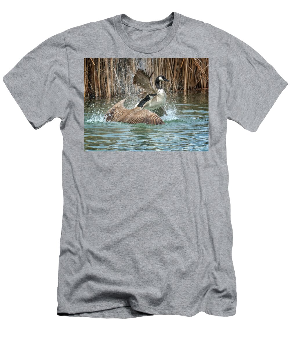Canada T-Shirt featuring the photograph Canada Geese Chase 5031 by Tam Ryan
