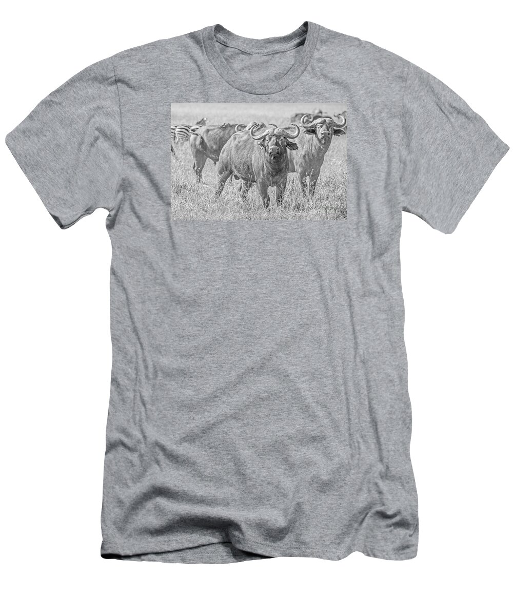 Buffalo T-Shirt featuring the photograph Cape Buffalos in Serengeti by Pravine Chester
