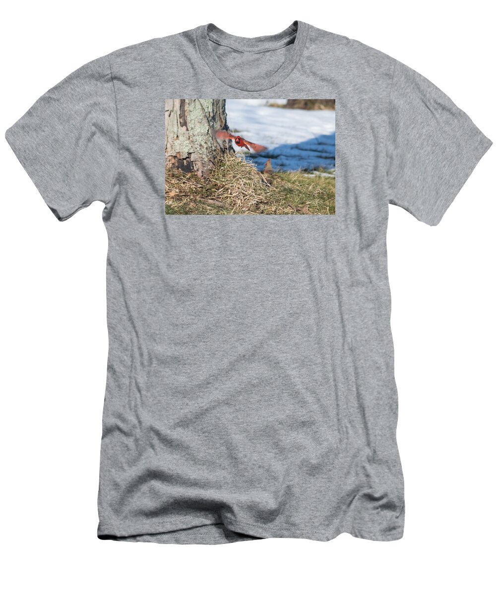 Cardinal T-Shirt featuring the photograph Cardinal in Flight by Holden The Moment