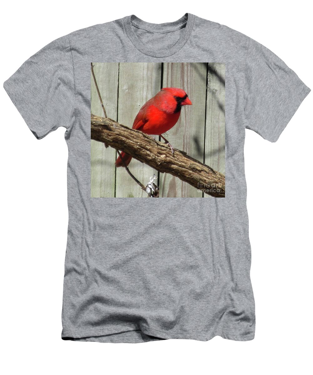Cardinal T-Shirt featuring the photograph Cardinal Waiting for Spring by CAC Graphics