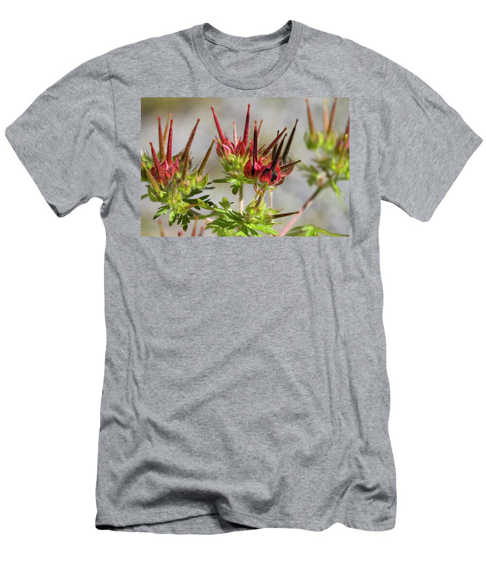 Carolina Cranesbill T-Shirt featuring the photograph Carolina Cranesbill Geranium Seed Pods by Kathy Clark