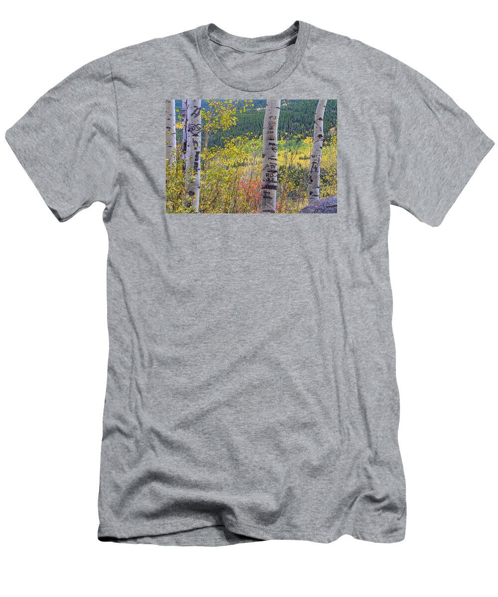 Carved T-Shirt featuring the photograph Carved Names and Initials in Autumn Aspen Trees by James BO Insogna