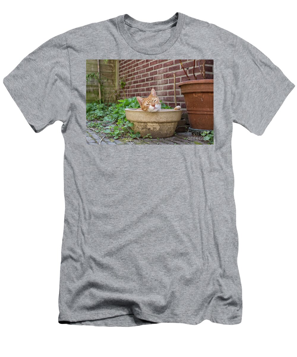 Garden T-Shirt featuring the photograph Cat in empty pot by Patricia Hofmeester