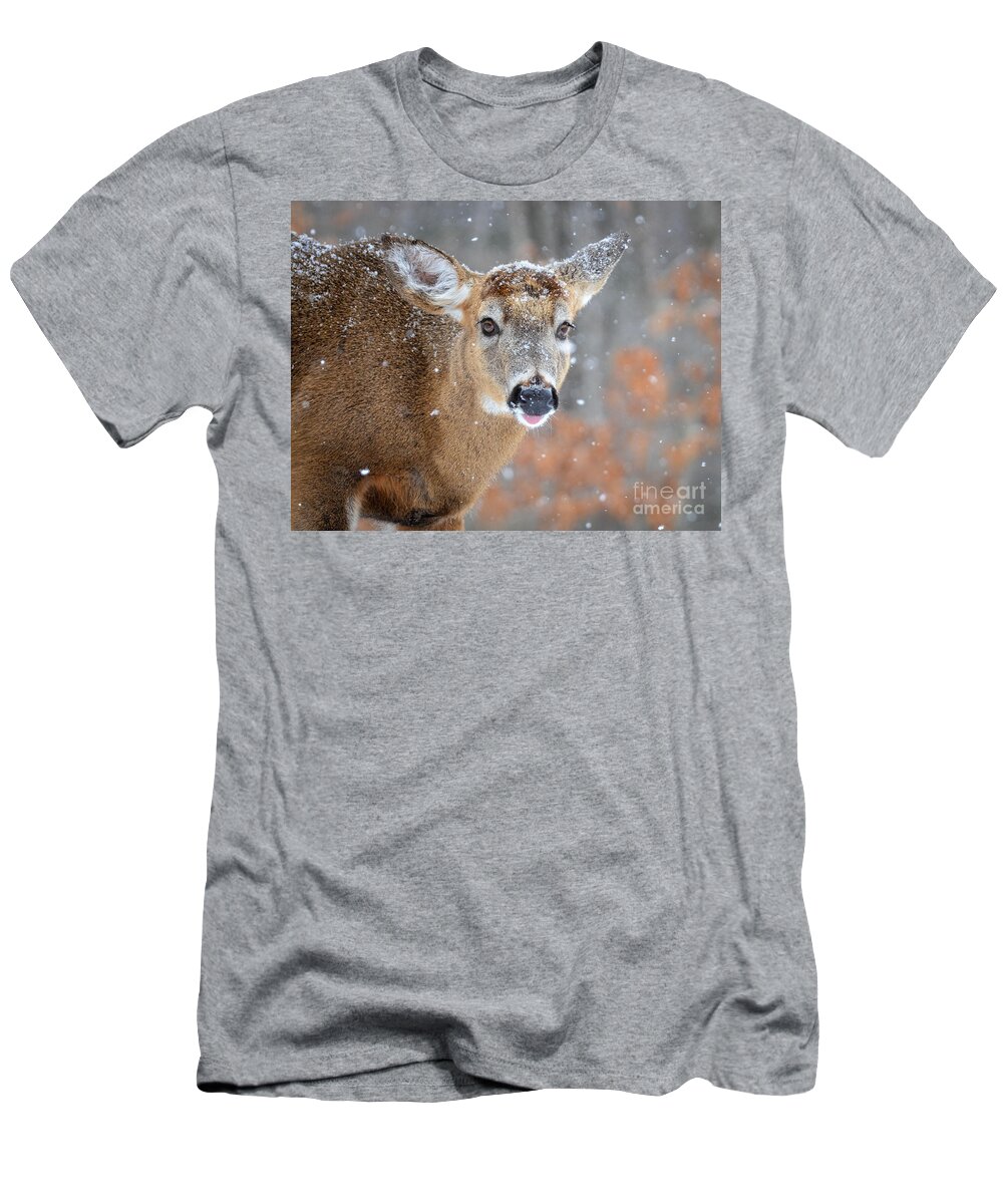 Deer T-Shirt featuring the photograph Catching Snowflakes on My Tongue by Amy Porter