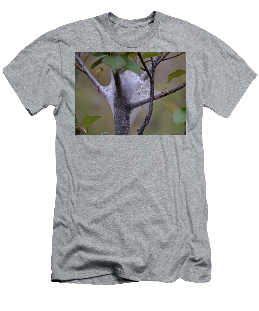 Caterpillars T-Shirt featuring the photograph Caterpillar Growth by Rebel Miles Photography