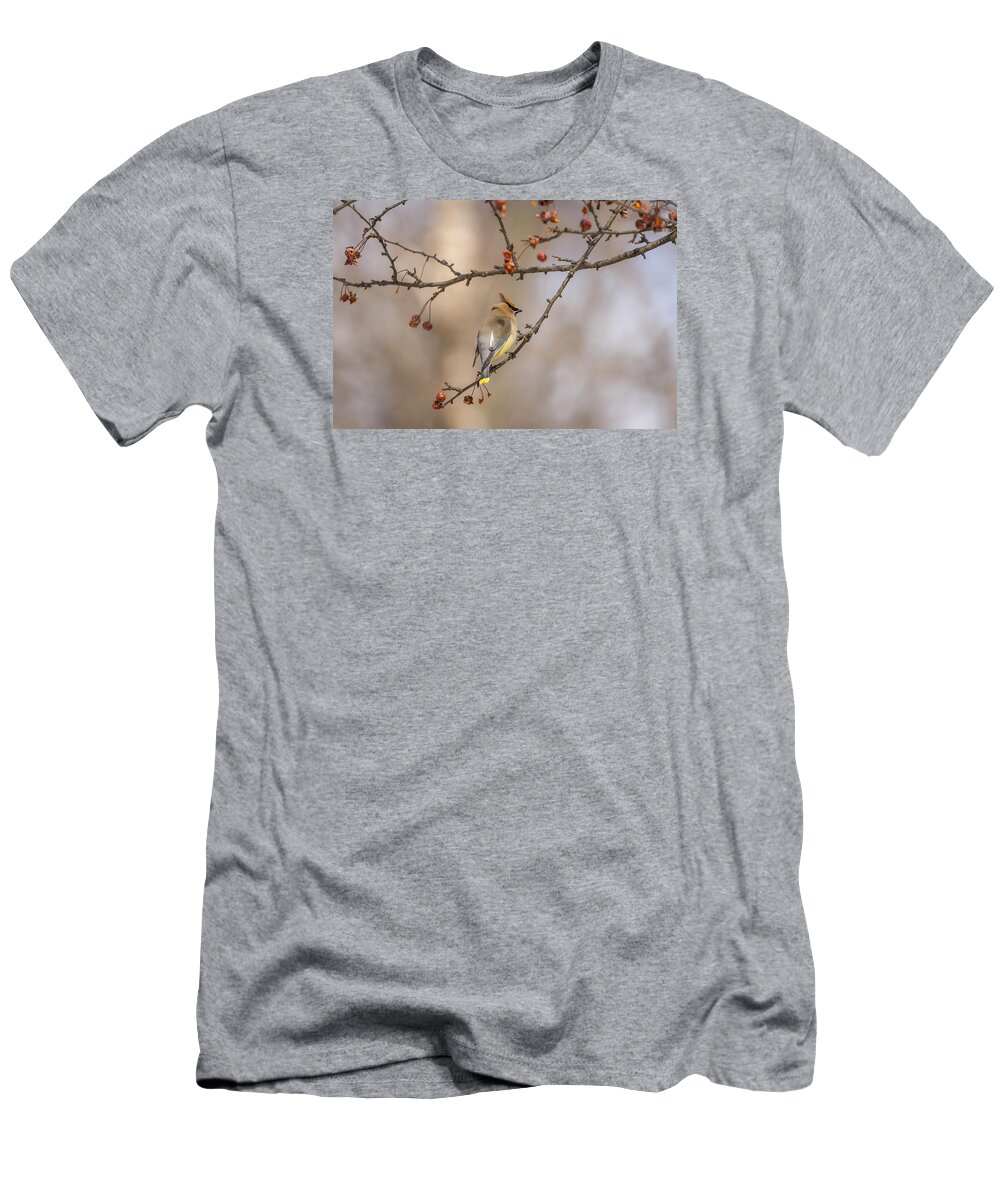 Cedar Waxwing T-Shirt featuring the photograph Cedar Waxwing Eating Berries 2014-2 by Thomas Young