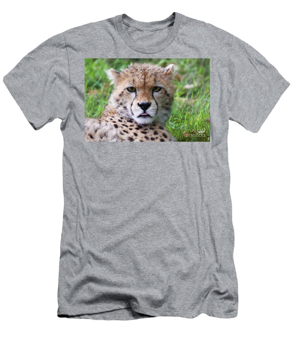 Photography T-Shirt featuring the photograph Cheetah by MGL Meiklejohn Graphics Licensing
