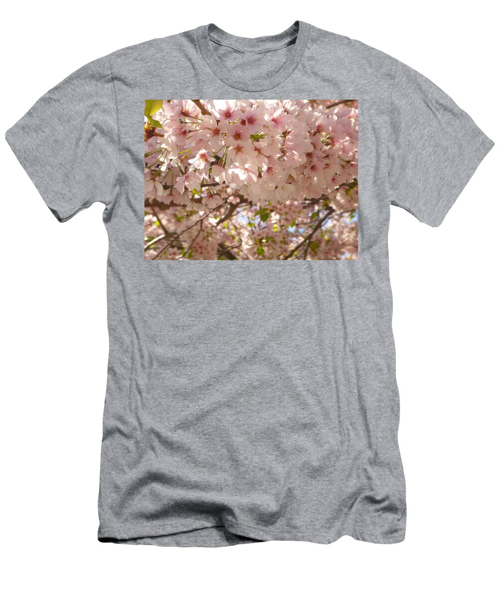 May T-Shirt featuring the photograph Cherry Blossoms by Ellen Paull