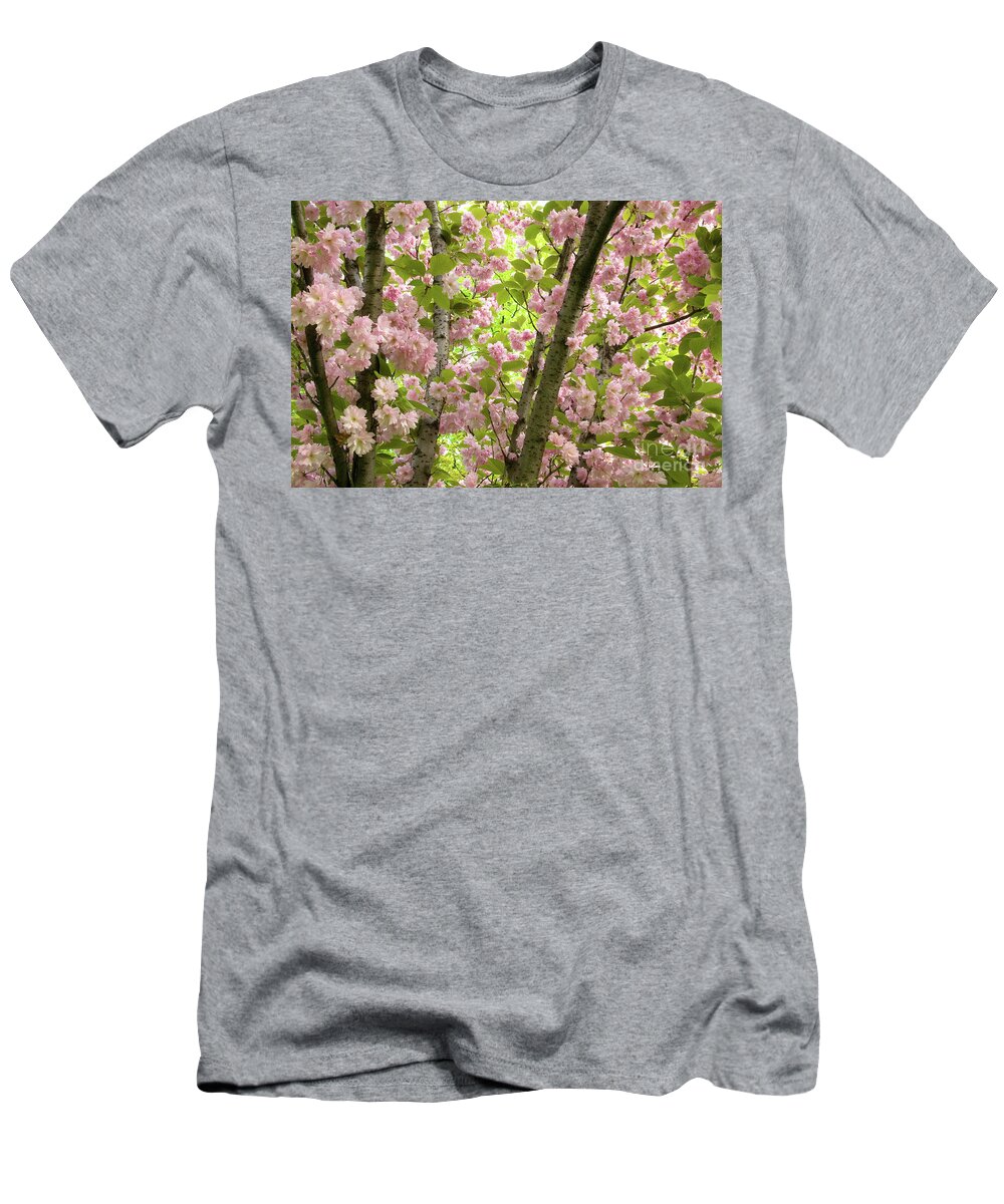 Branches T-Shirt featuring the photograph Cherry Blossoms in Spring, Milan, Italy by Julia Hiebaum