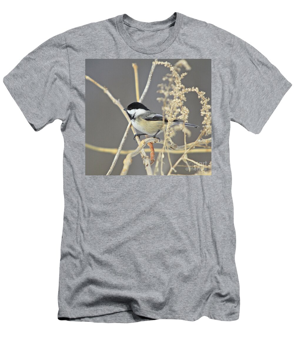 Additional Tags: T-Shirt featuring the photograph Chickadee-8 by Robert Pearson