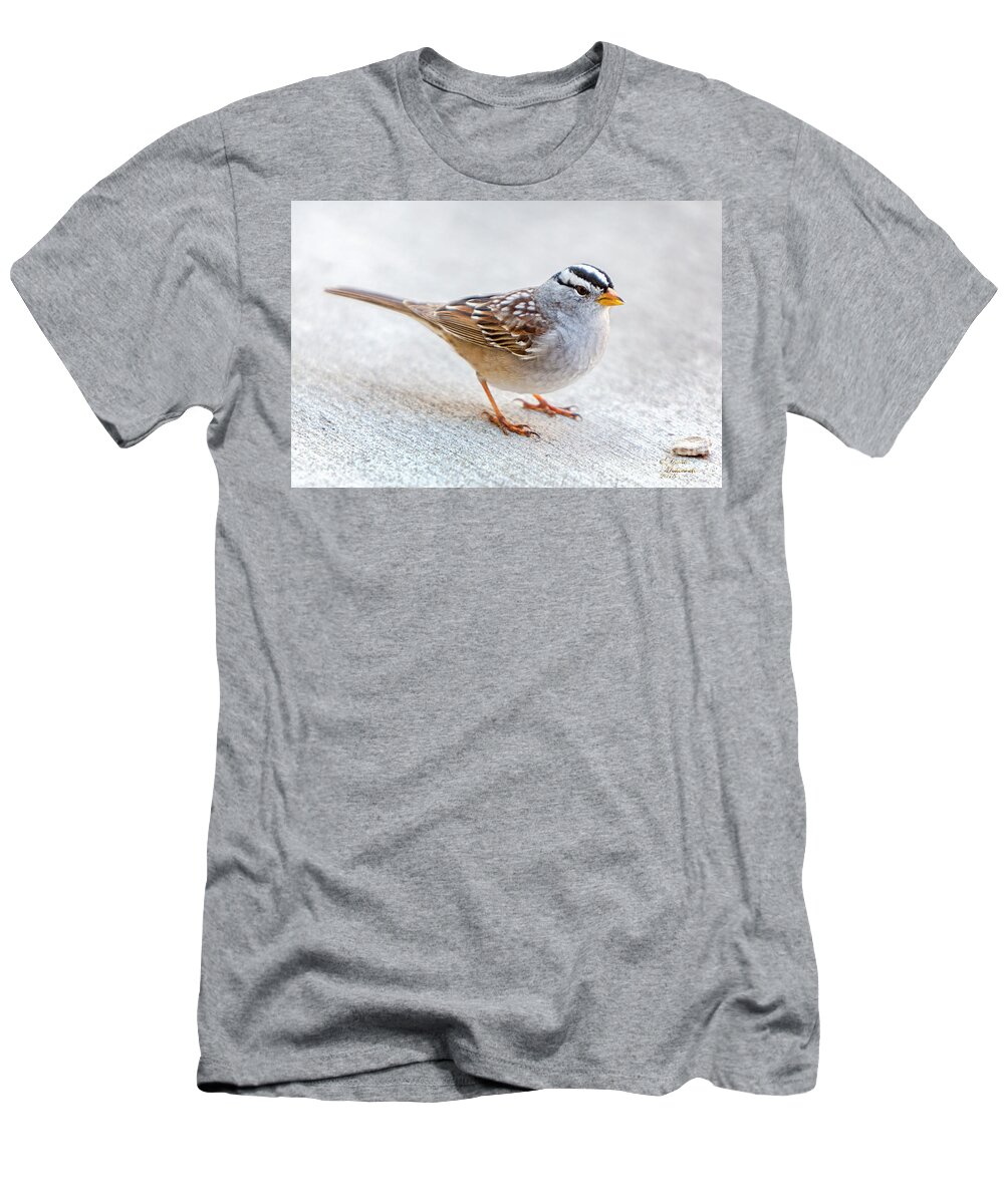 White Crowned Sparrow T-Shirt featuring the photograph White Crowned Sparrow by David Millenheft