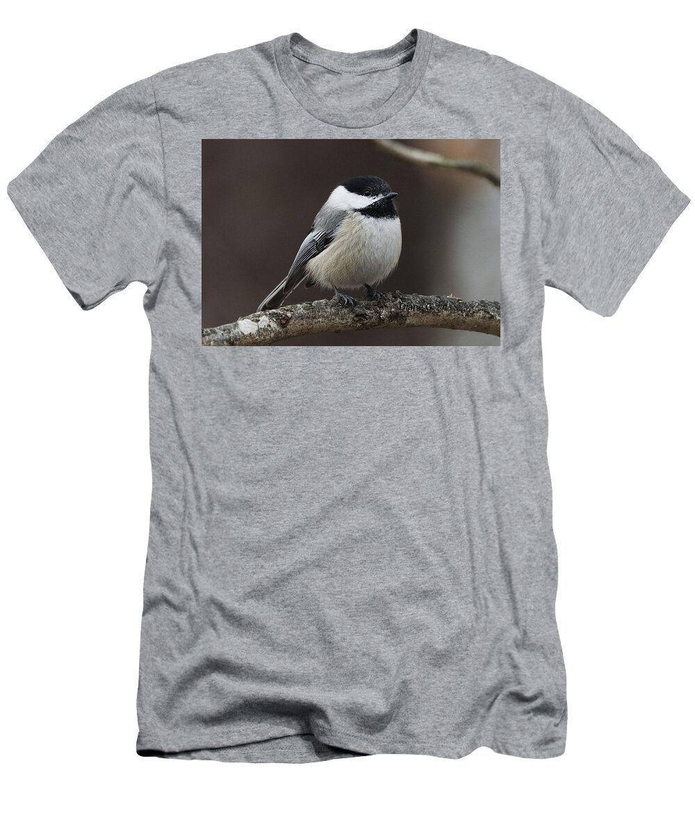 Chickadee T-Shirt featuring the photograph Chickadee by Diane Giurco