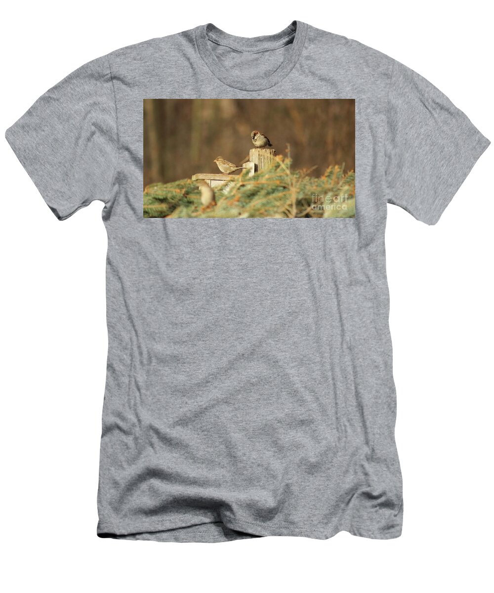 Chickadees T-Shirt featuring the photograph Chickadees by Erick Schmidt