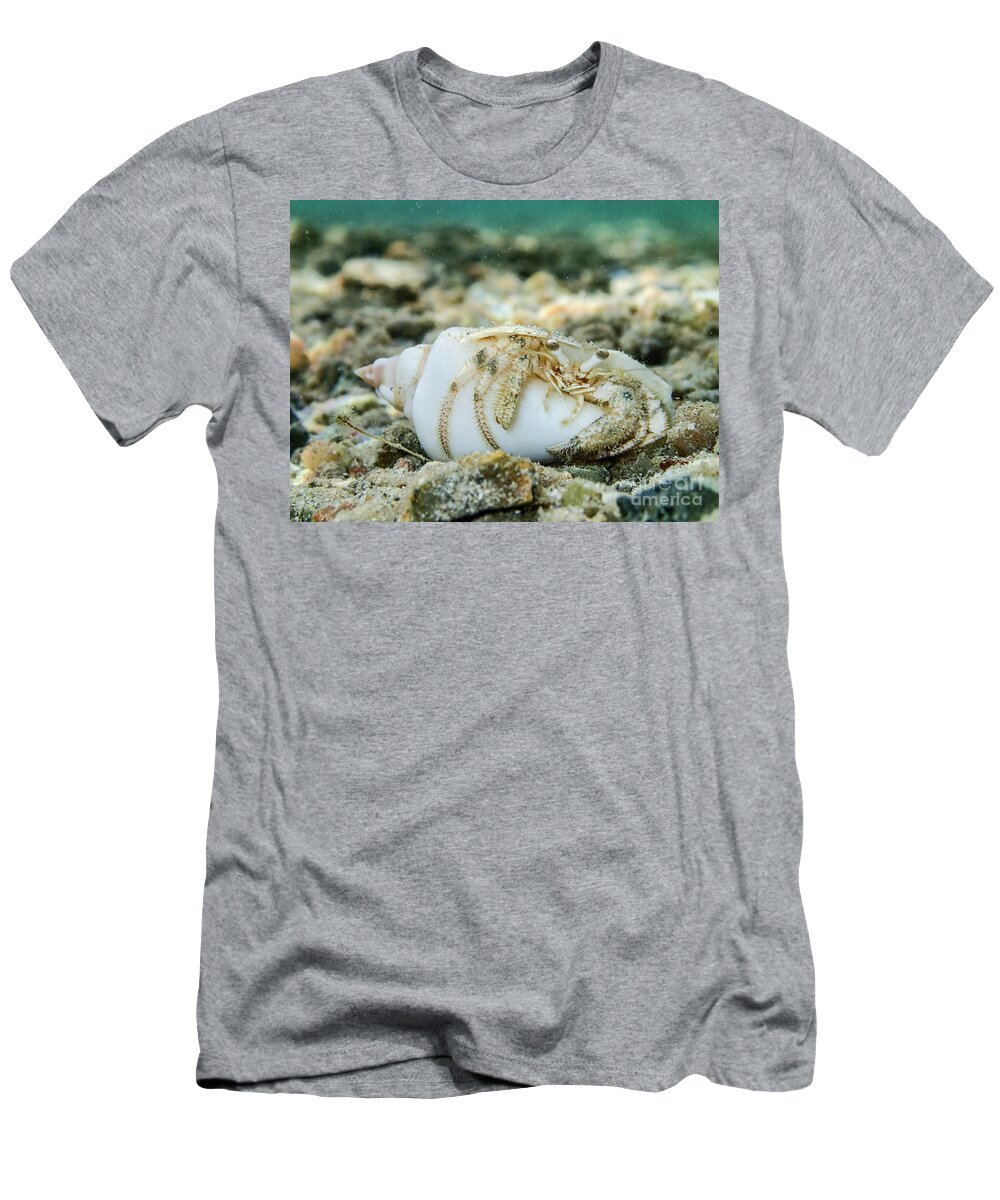 Animal T-Shirt featuring the photograph Chilling by Hannes Cmarits