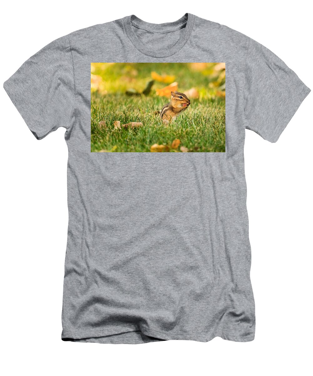 Animal T-Shirt featuring the photograph Chipmunk Licking His Paws by Joni Eskridge