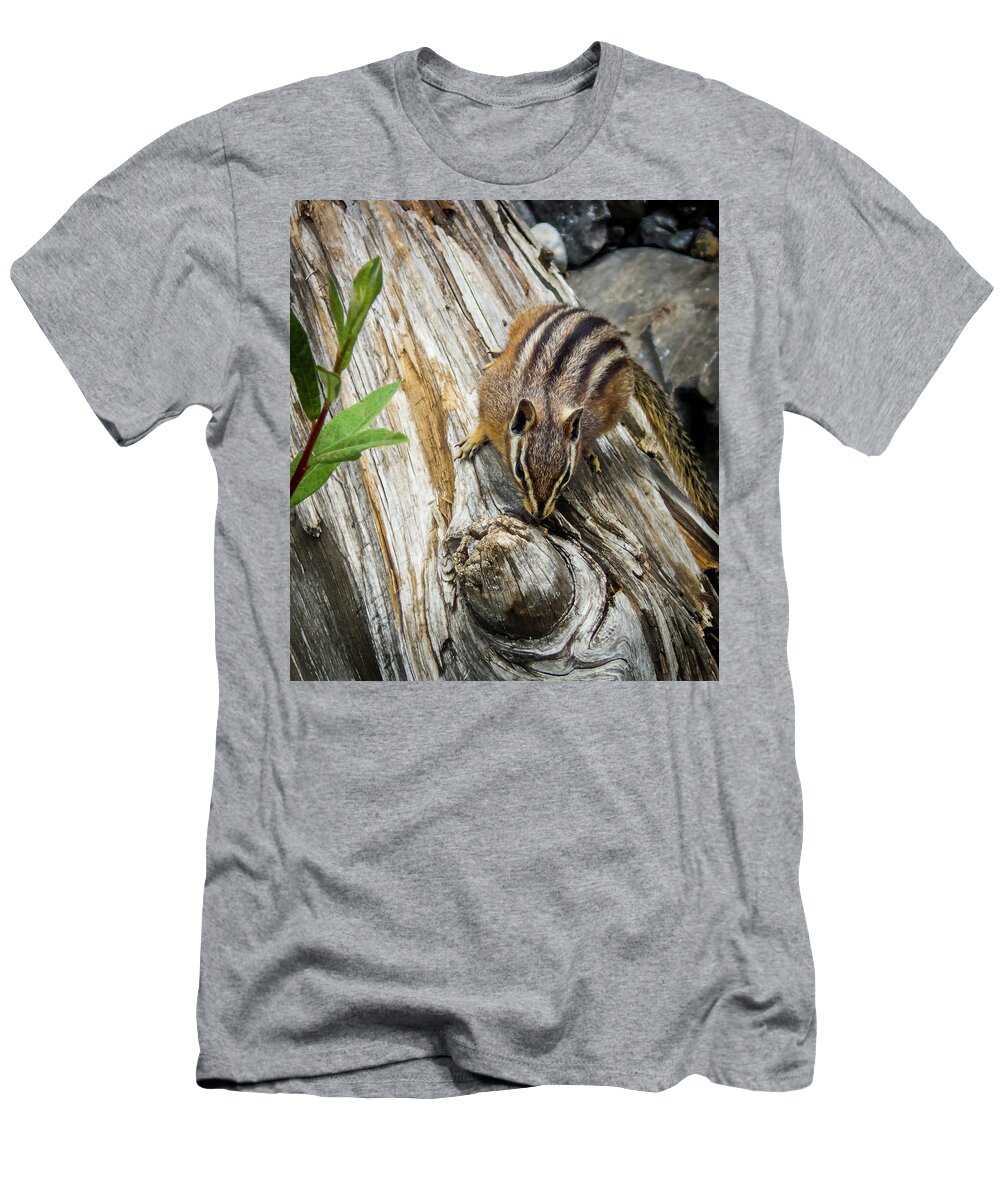 Rodent T-Shirt featuring the photograph Chipmunk on a Log by Phil And Karen Rispin