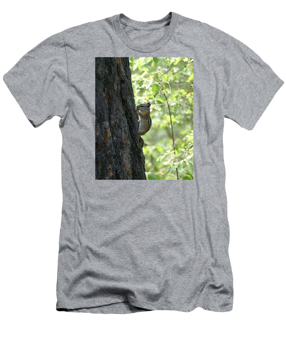 Chipmunk T-Shirt featuring the photograph Chipmunks #1 by Ben Upham III