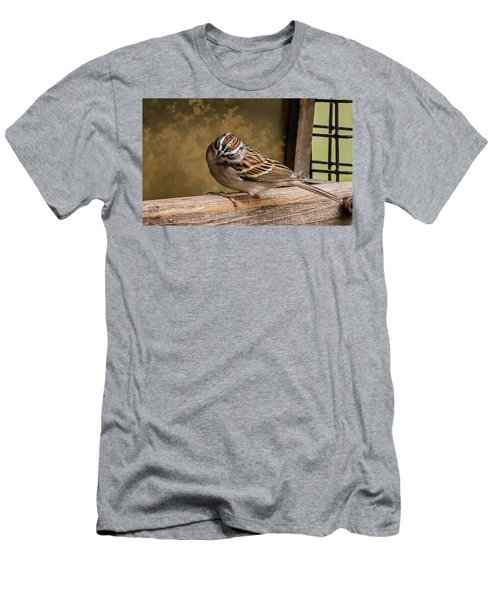 Birds T-Shirt featuring the photograph Chipping Sparrow by Cynthia Wolfe