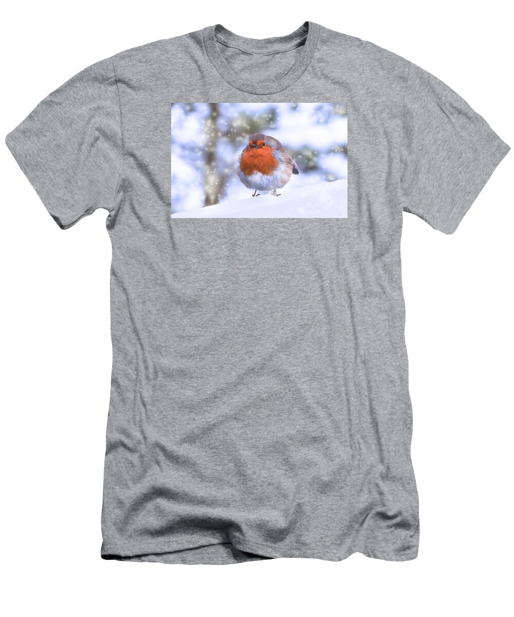 Robin T-Shirt featuring the photograph Christmas Robin by Scott Carruthers