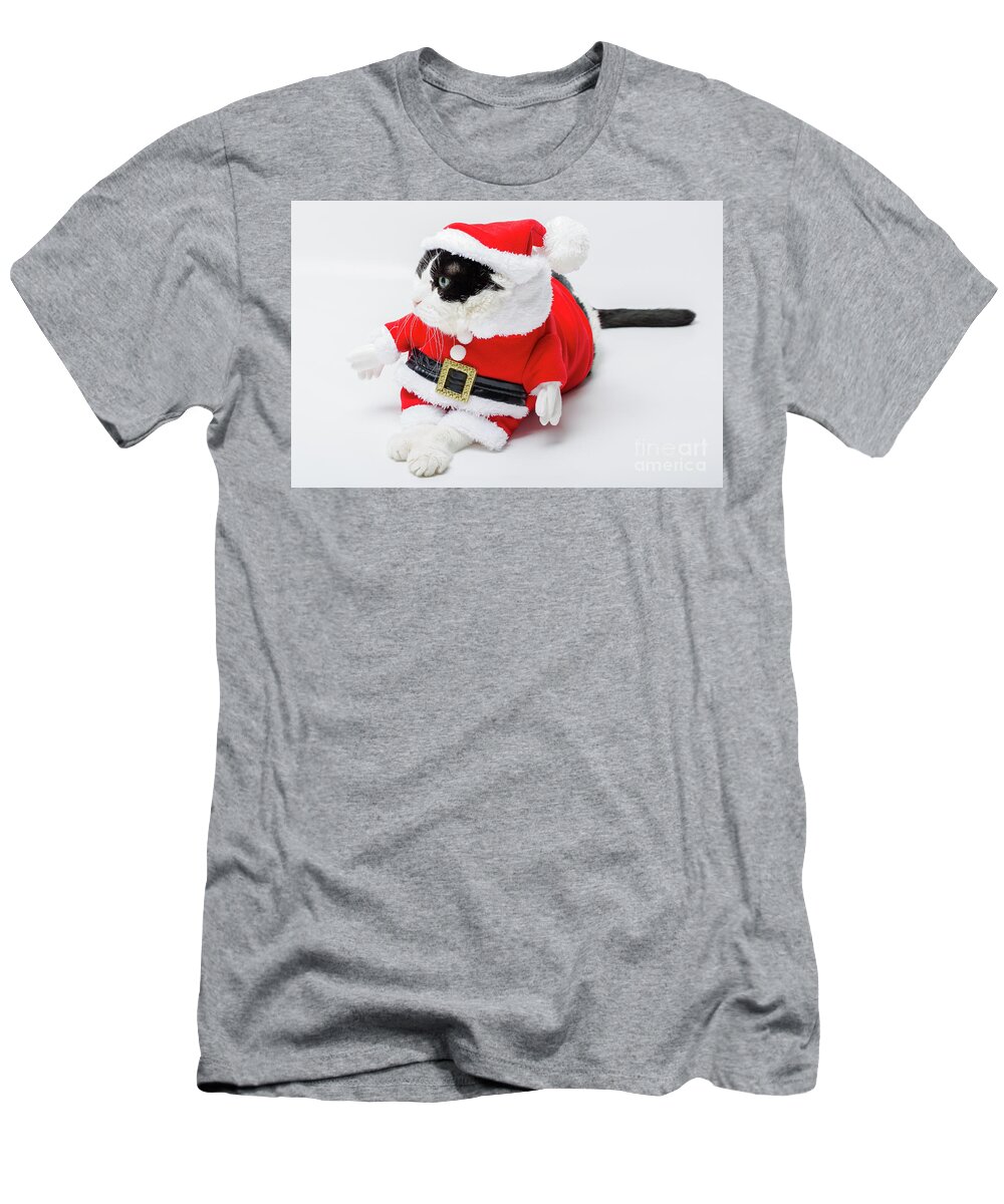 Cat T-Shirt featuring the photograph Christmas Santa Cat by Benny Marty