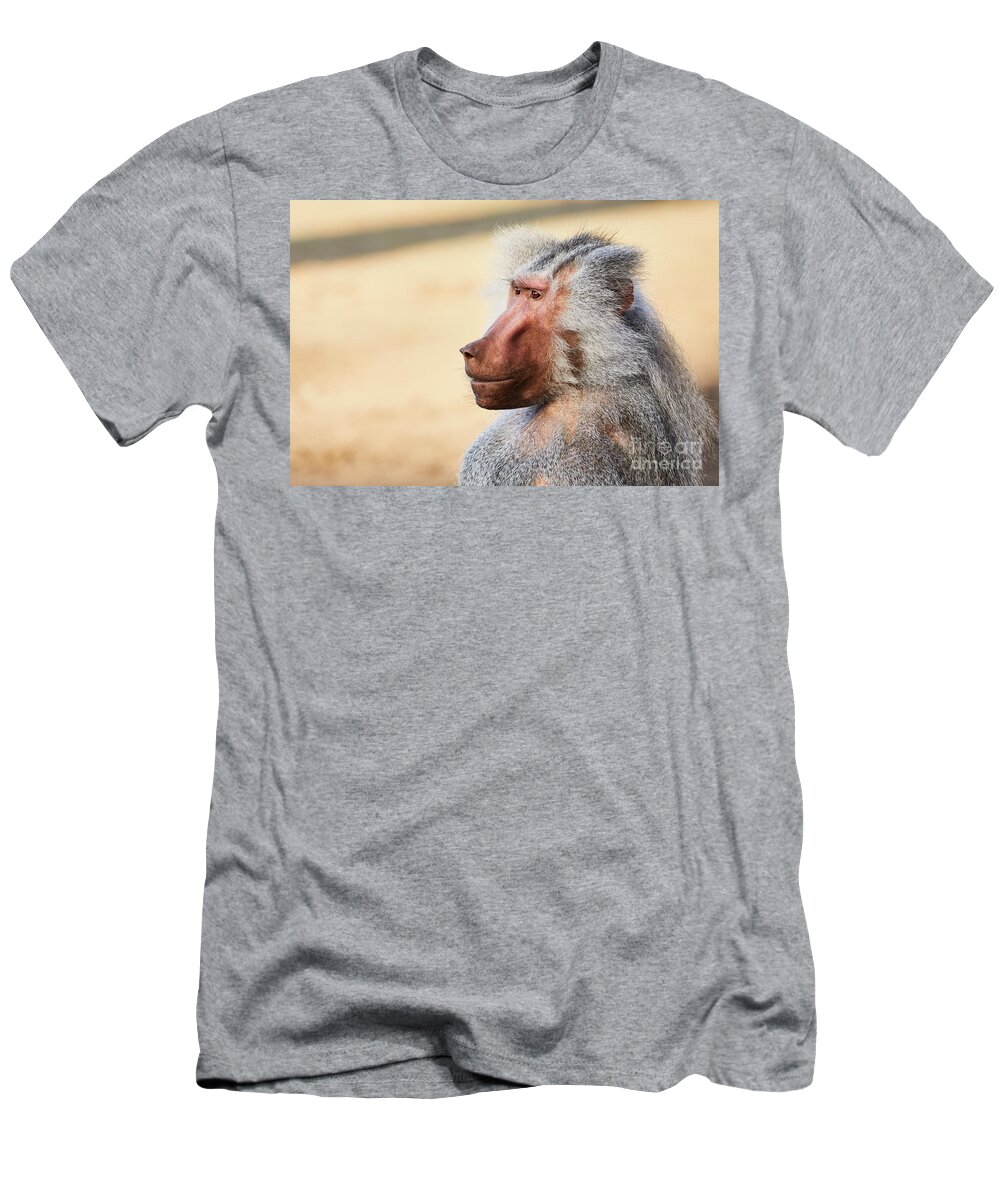 Closeup Nature T-Shirt featuring the photograph Closeup portrait of a male Baboon by Nick Biemans